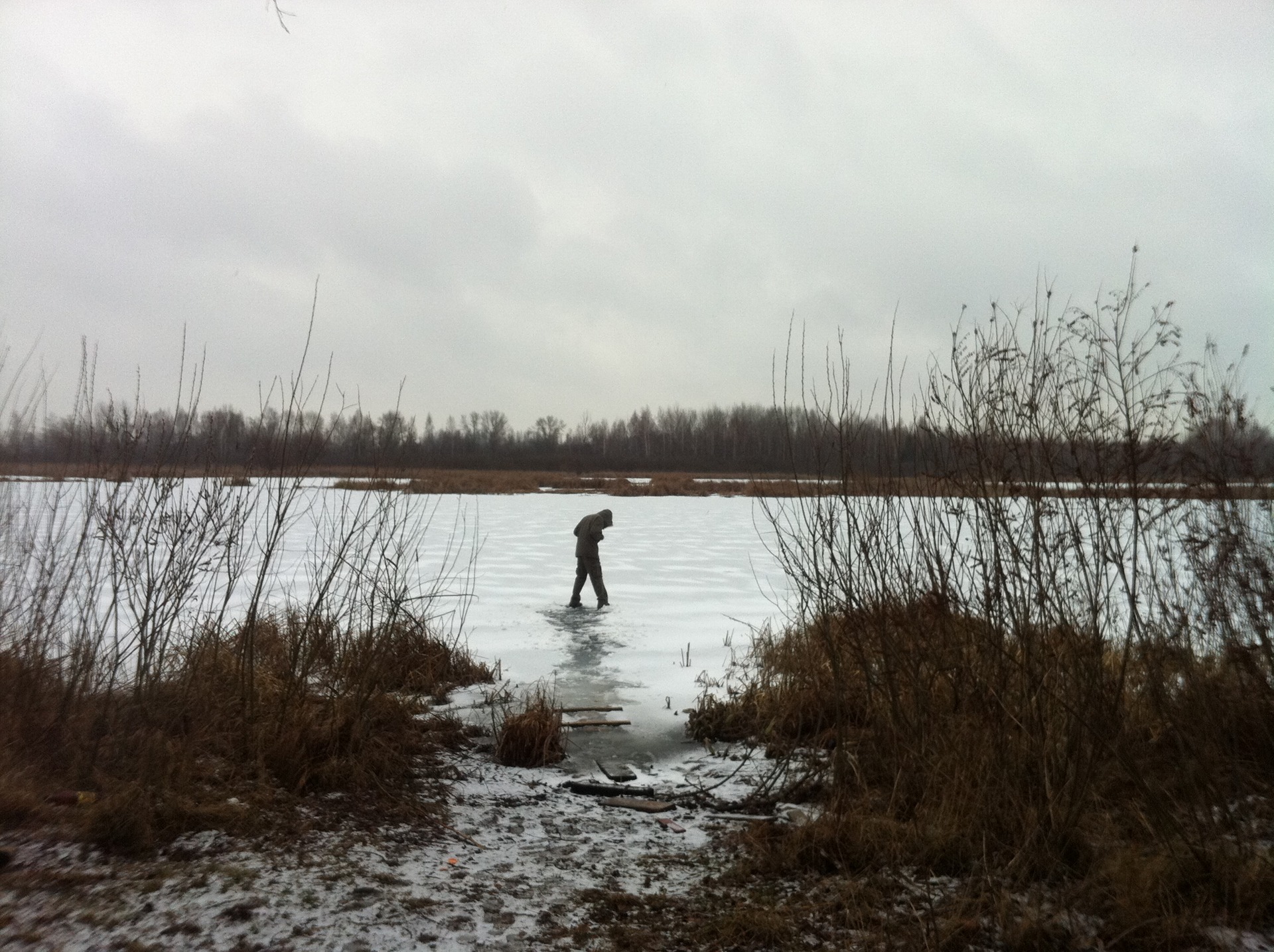 сезон 2011 у Ненудному відкрито 1