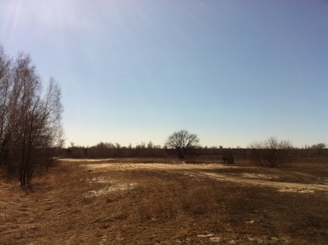 Спонтанна поїздка в Нескучне 3