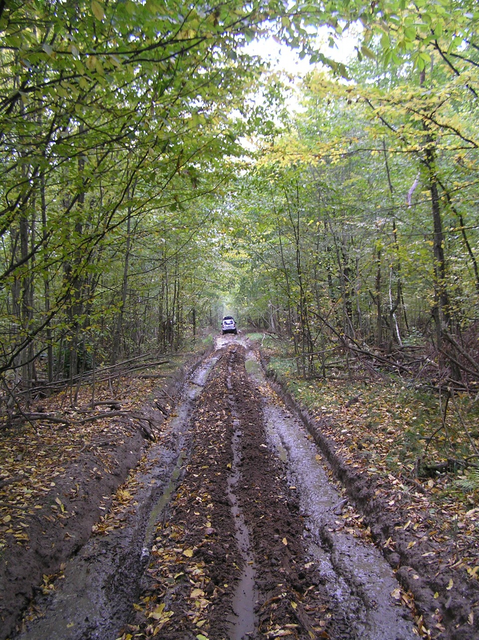 Полісся 04-07.10.12 2