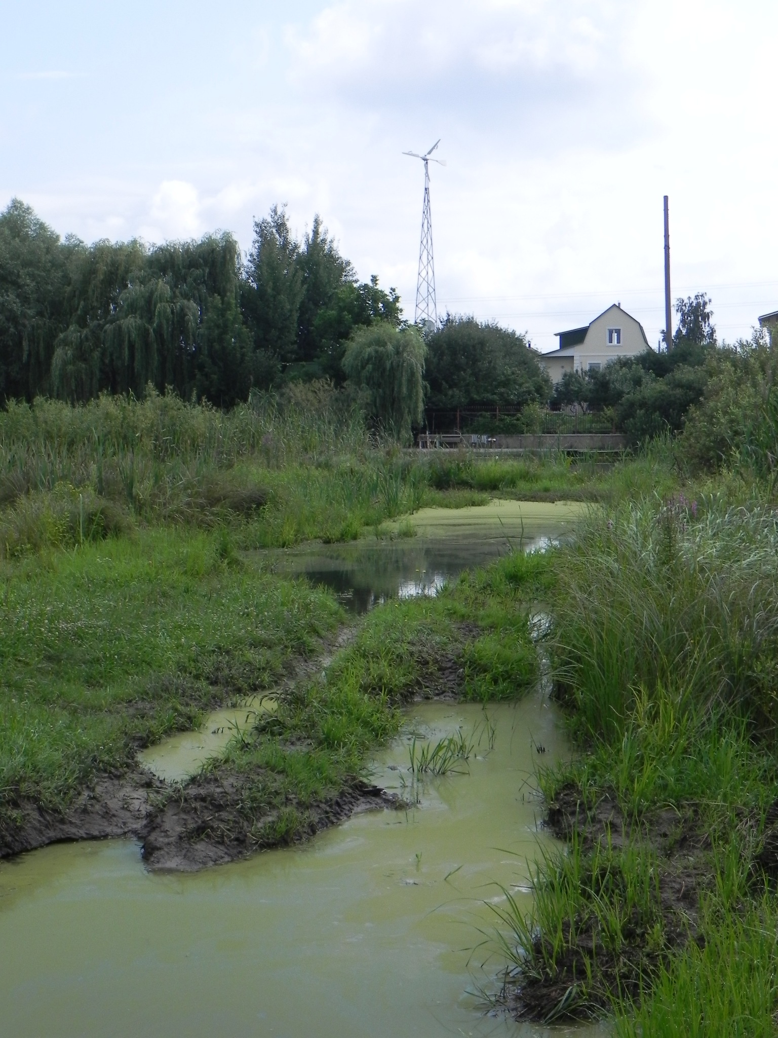 с.Ненучне 30-31.07.11 2