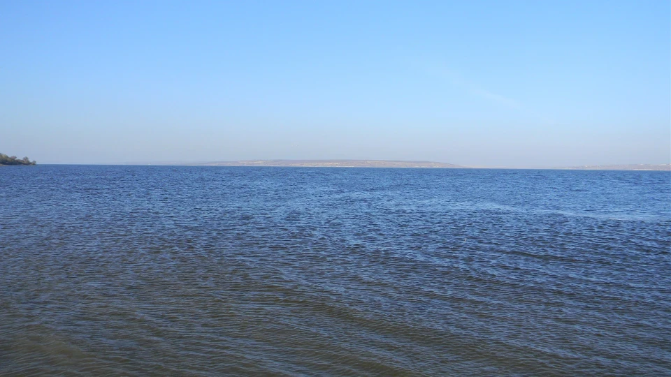 Одеські лимани