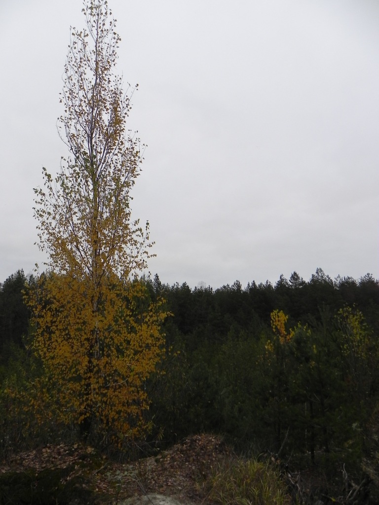 Піщаний кар'єр 5