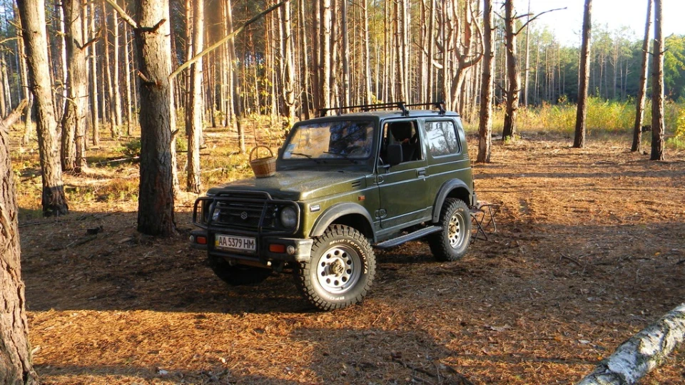 Грибочки