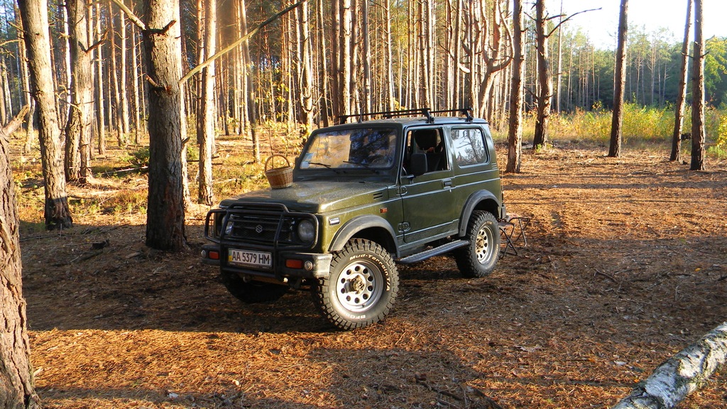 Грибочки 1