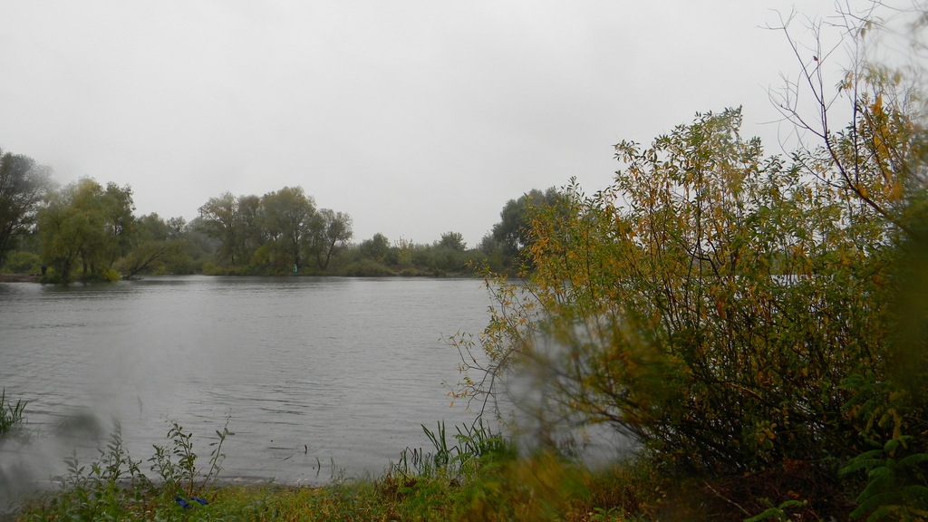 Осінь 5