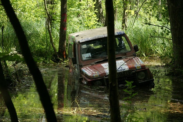 Рік (2009). 1