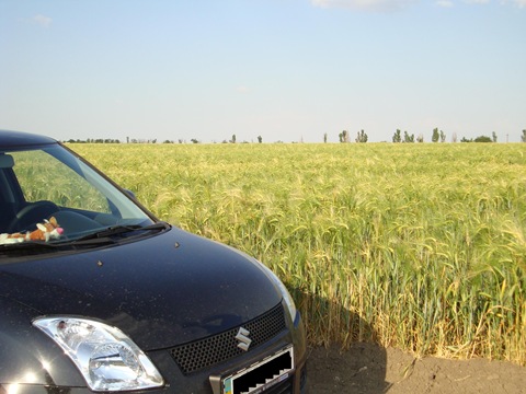 Гримпінська трясовина, або покотушки в бруді - частина 2 3
