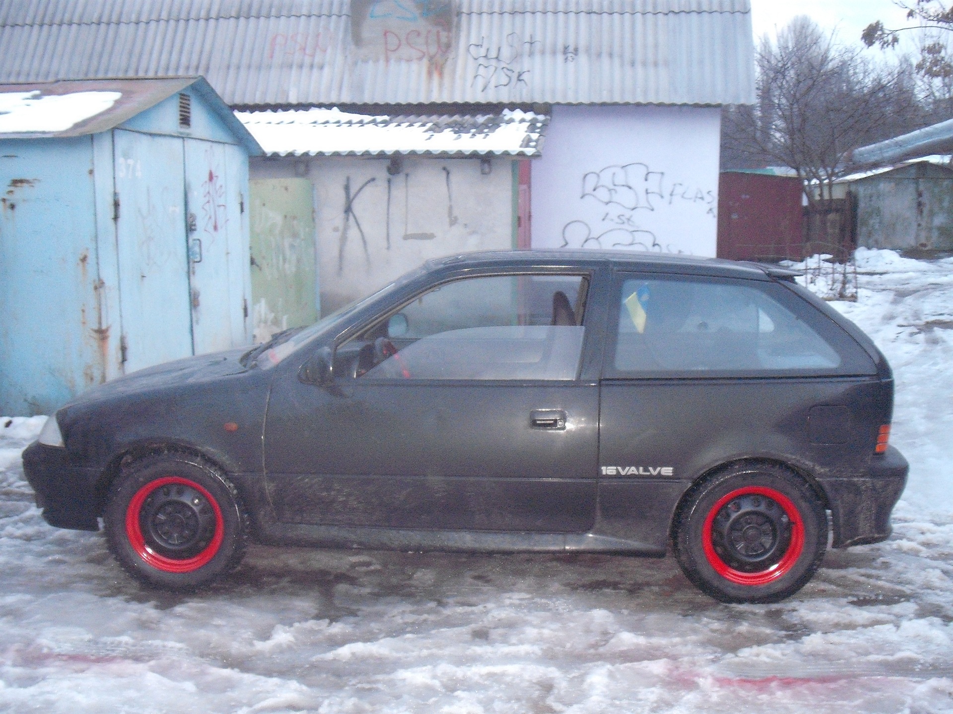 зима фото та фарбування залізяк :) 5