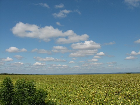 Поїздка на малу Батьківщину+купівля чохлів 5