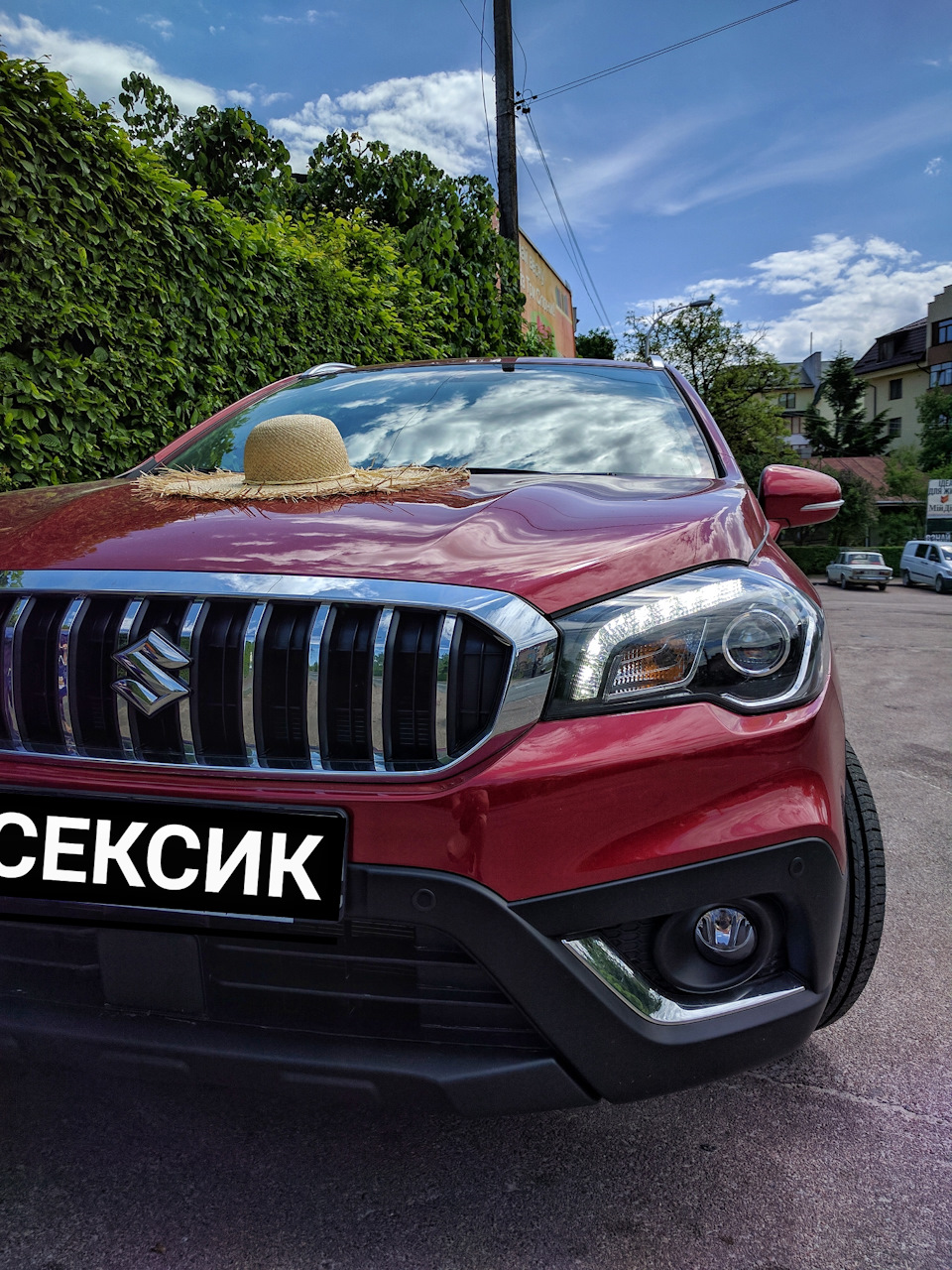 Сексик на вигулі 1
