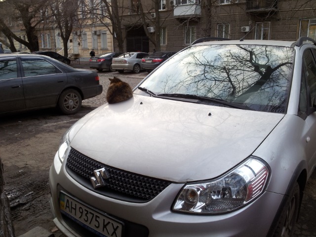Ось він, цей підступний тип! 1