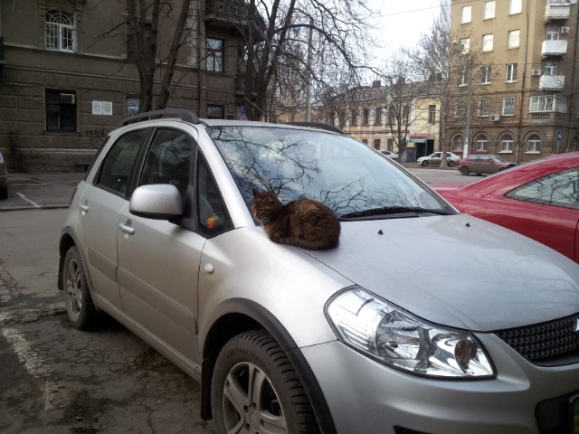 Ось він, цей підступний тип! 2