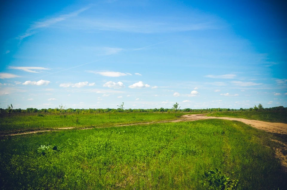 Маленька вилазка на природу. Підкорюємо р.Десна