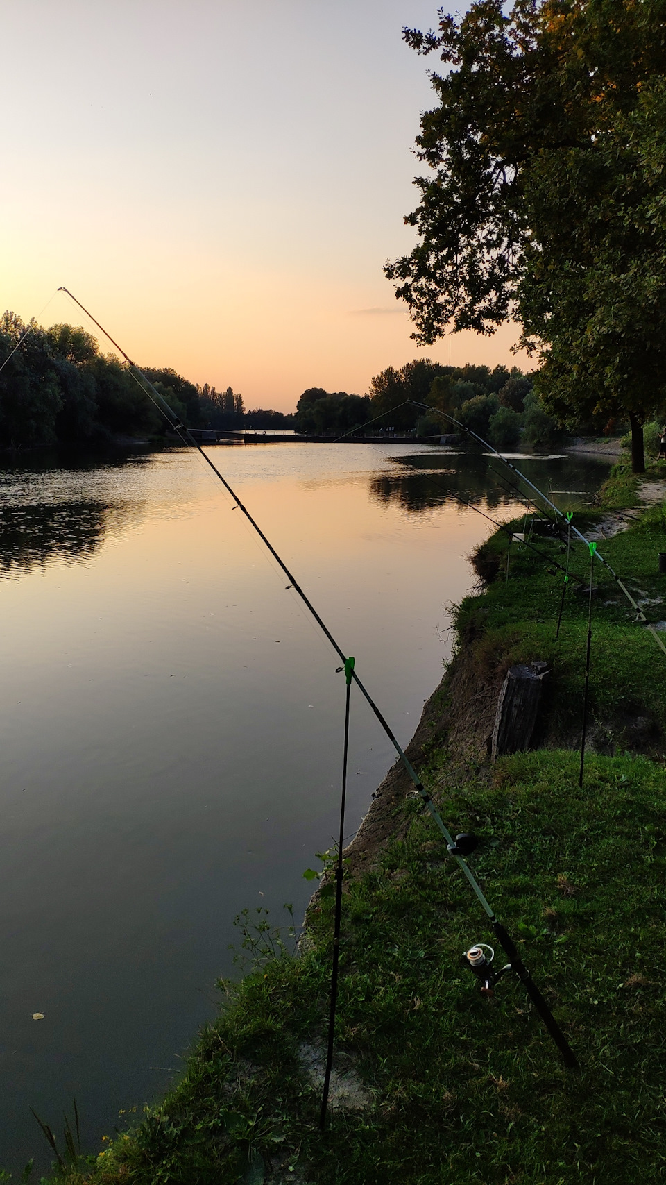 Просто поворотник згорів... 5