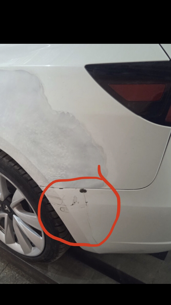 Покупка заднього ориг бампера в колір 4