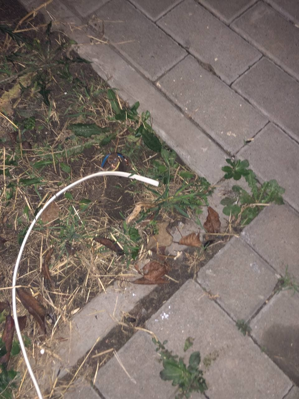 Очистив совість 2
