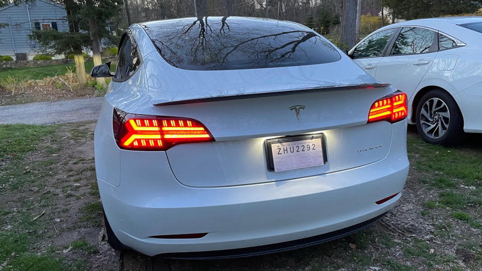 Fishbone rear lights/ задні ліхтарі 2