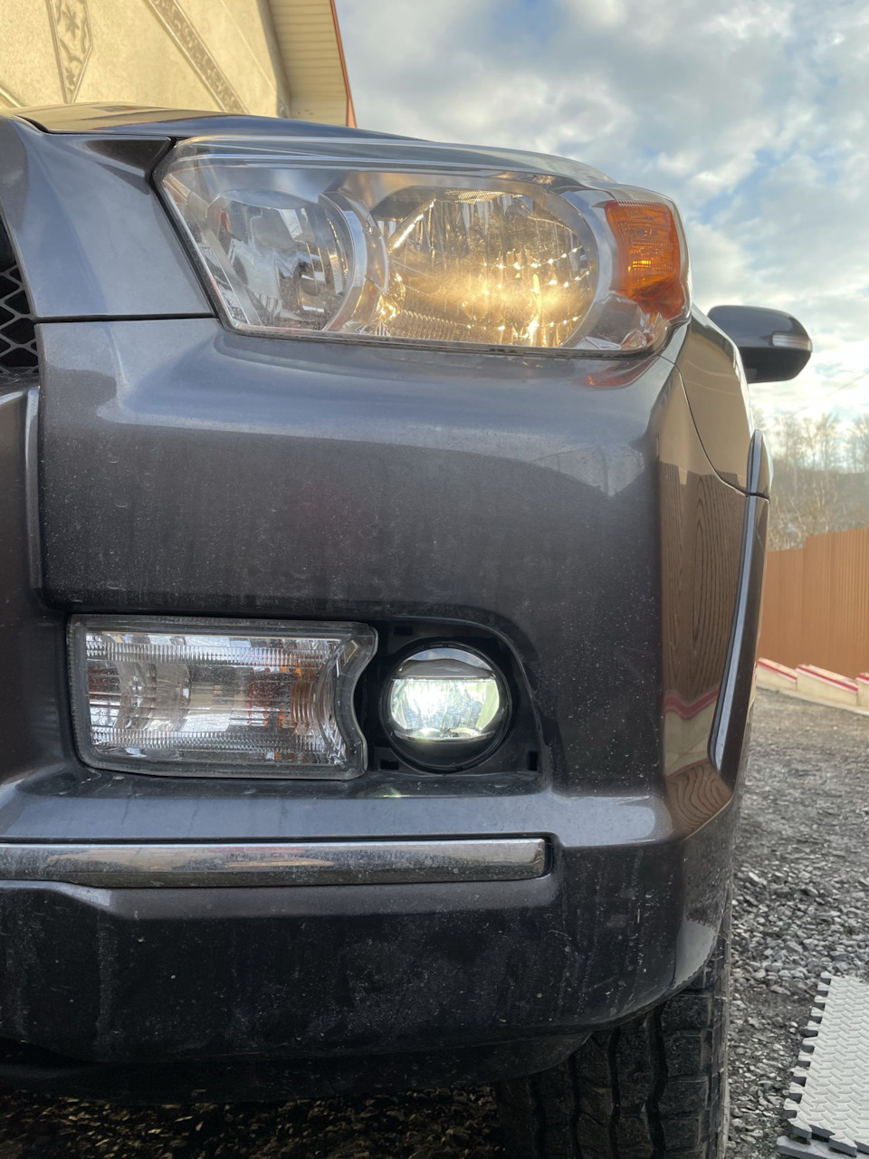 LED fogs 3