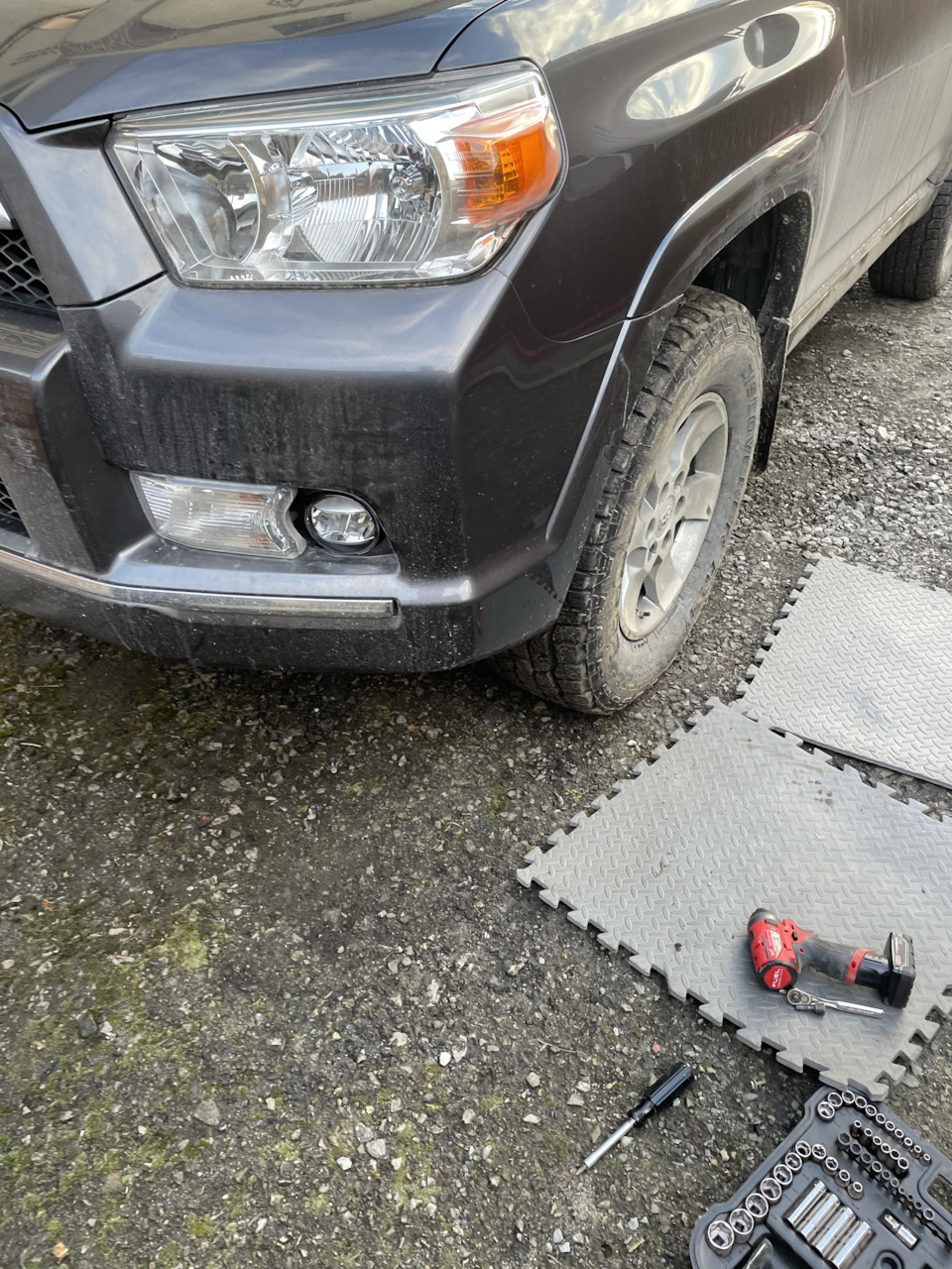 LED fogs 2