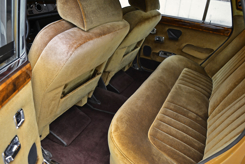Gold Parkertex Savoy Velvet & стрілки 1