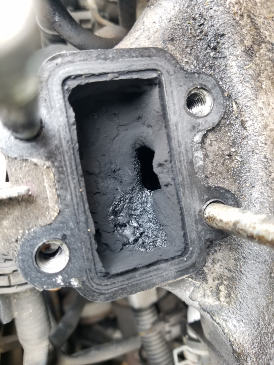 Egr 1