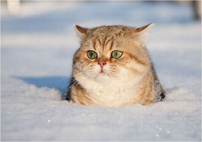 Зима близько... =) 4