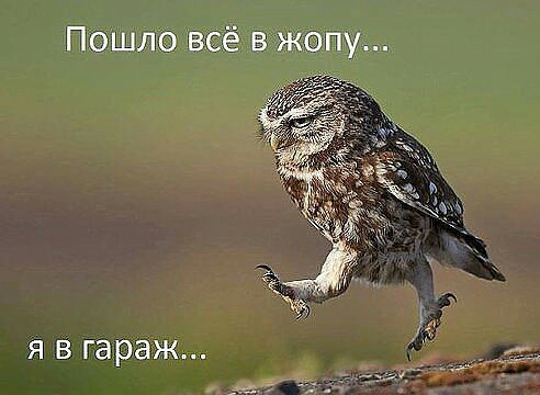 ТО за планом! 1