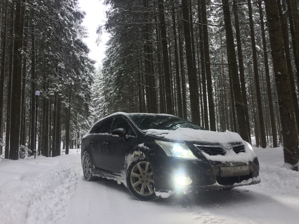 Трохи снігових фоток в лісі) 5