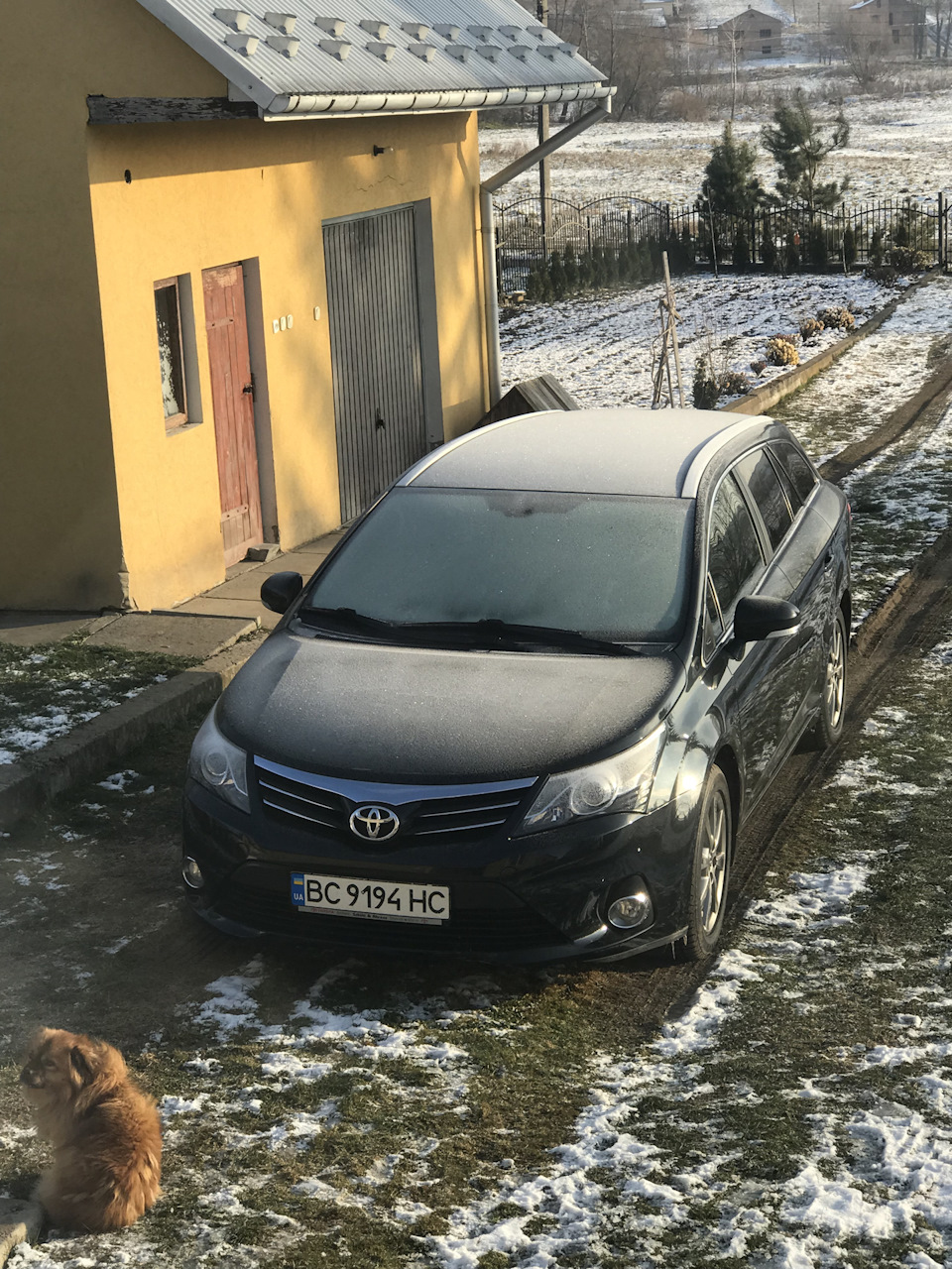 Рідка гума 2