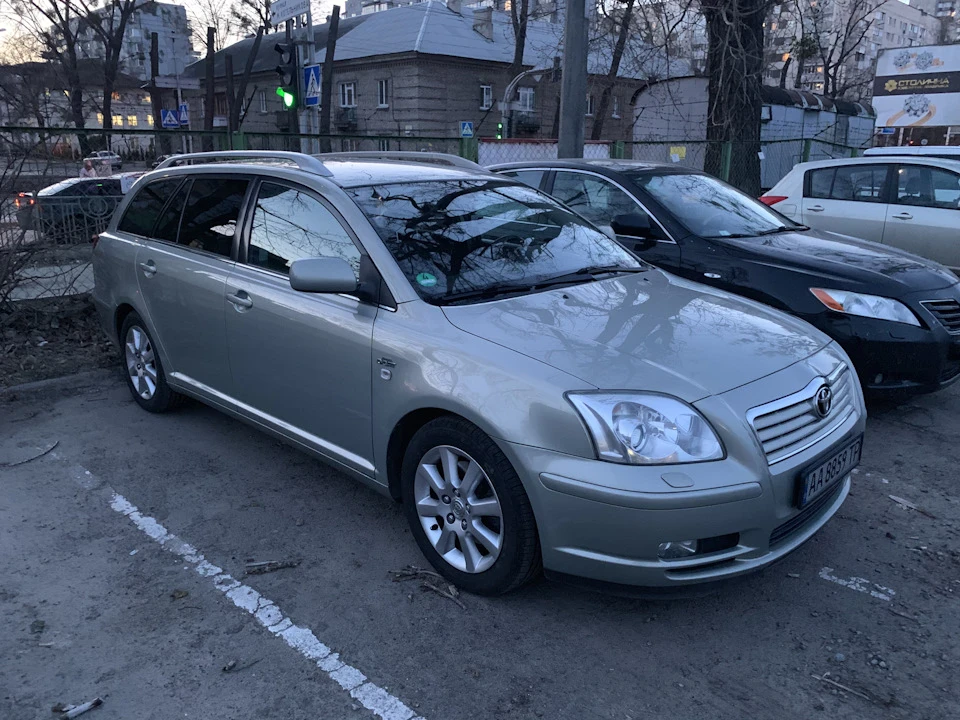 Насіння гуми