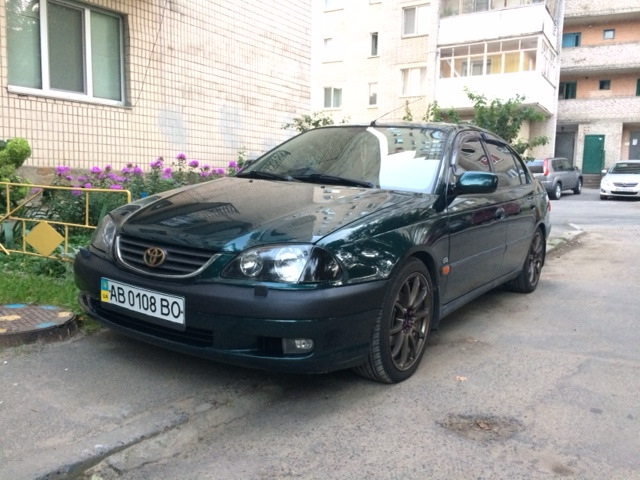 Новий лук 1