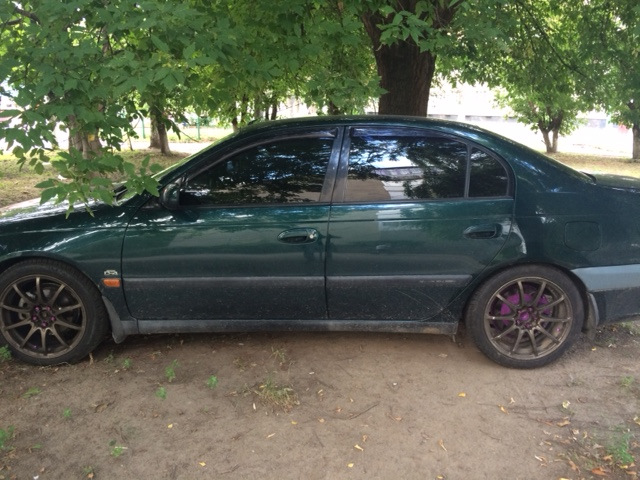 Новий лук 3