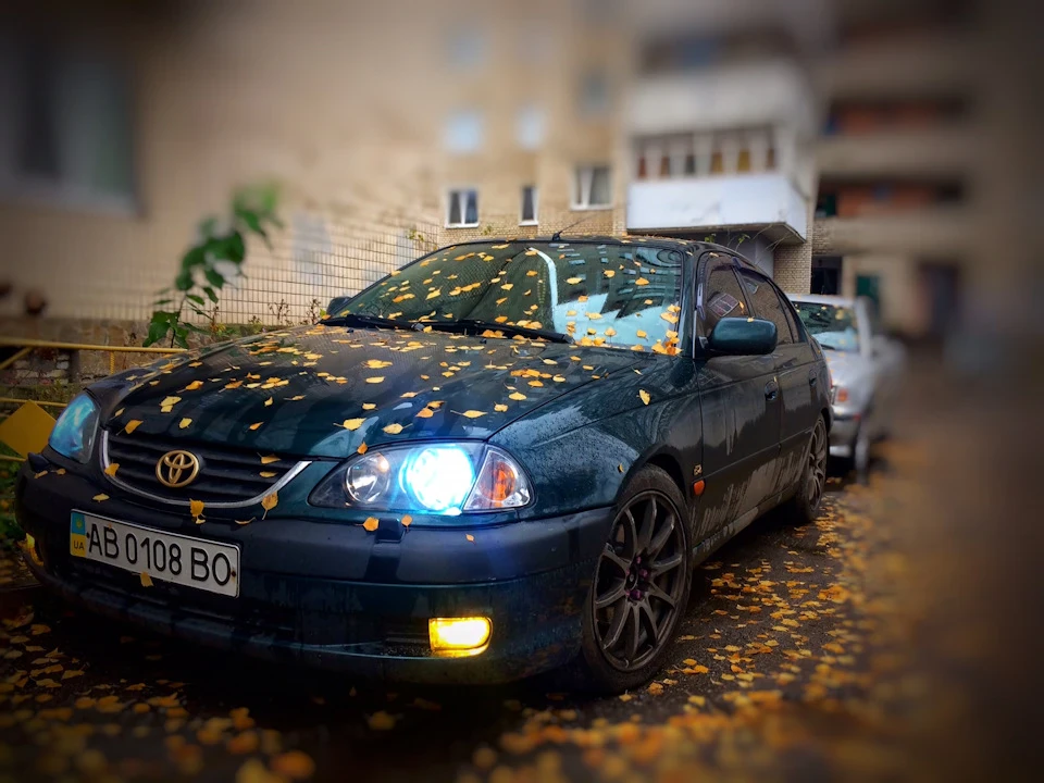 Туманні тумани