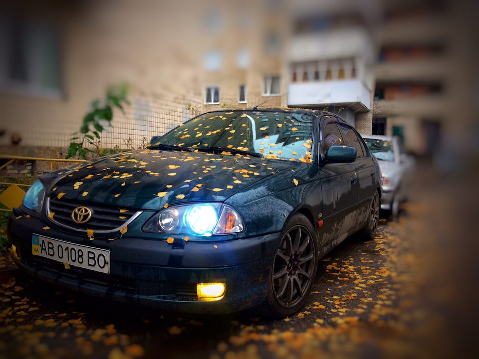 Туманні тумани 1