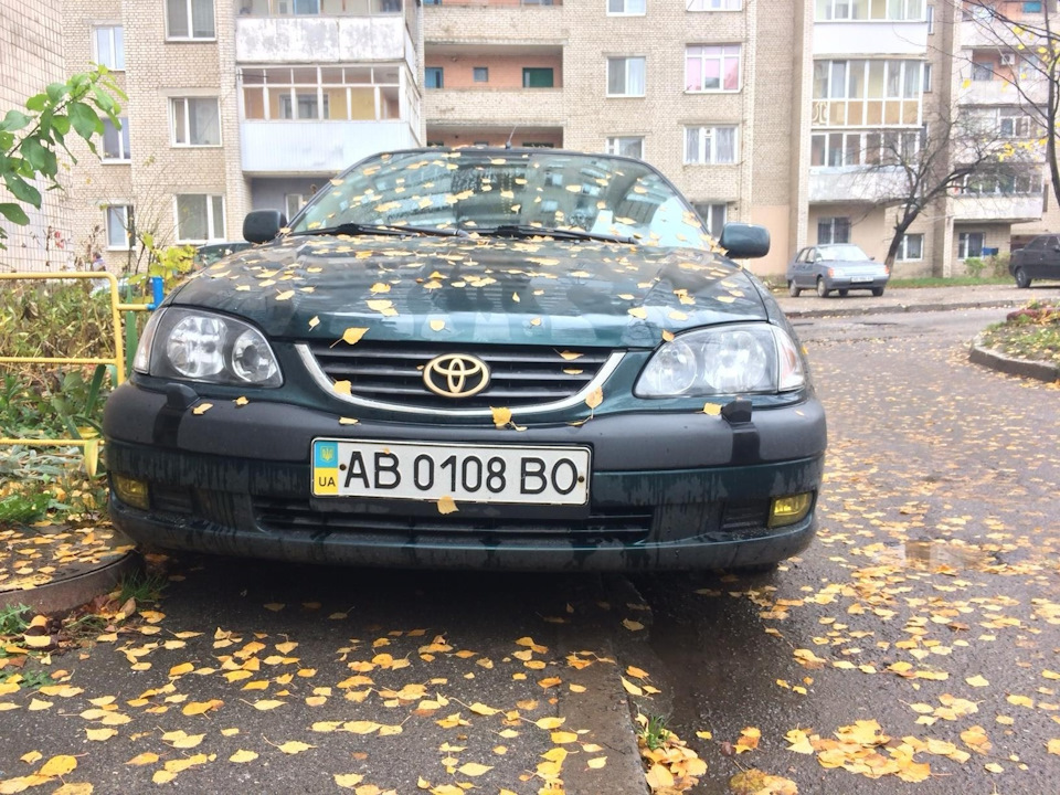 Туманні тумани 3