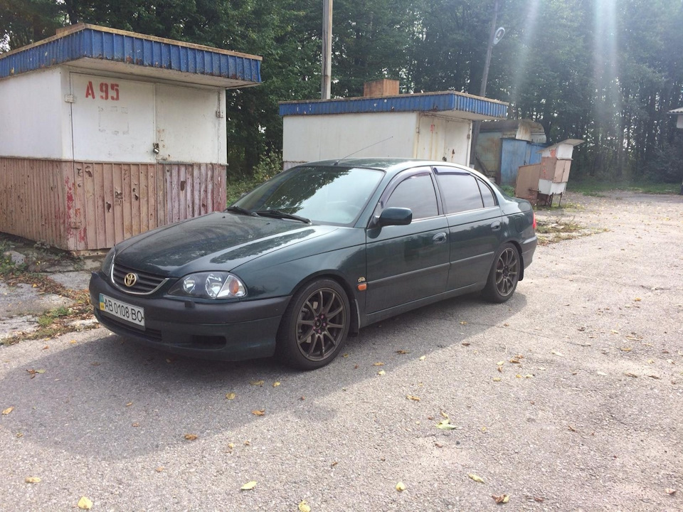 Туманні тумани 5