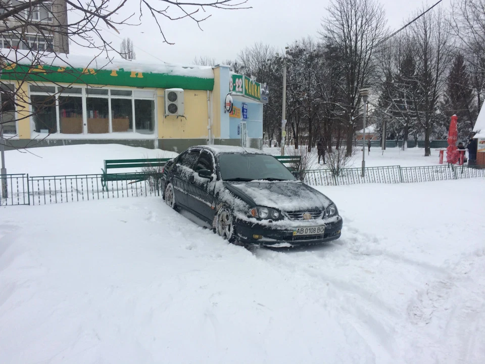 Зимова ревізія