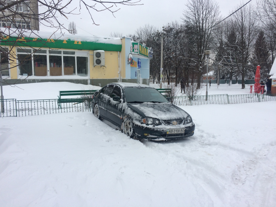 Зимова ревізія 1