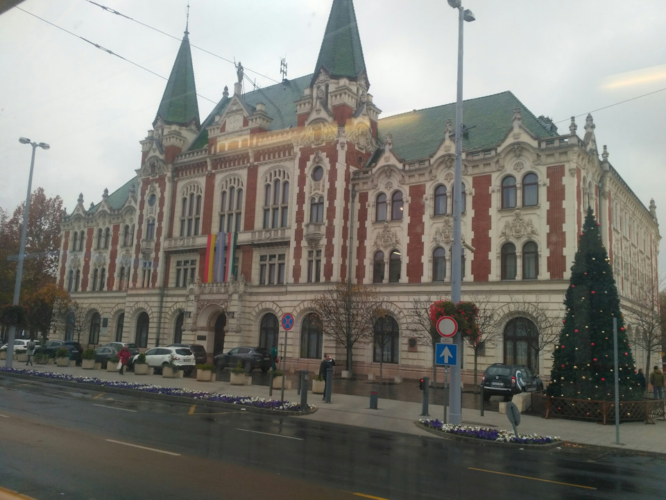 Знову вдома! 3
