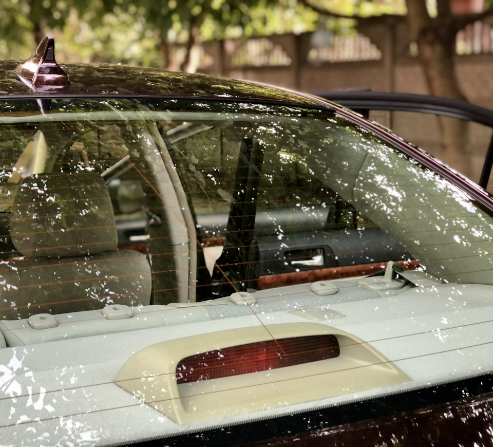 Rain Repellent 3