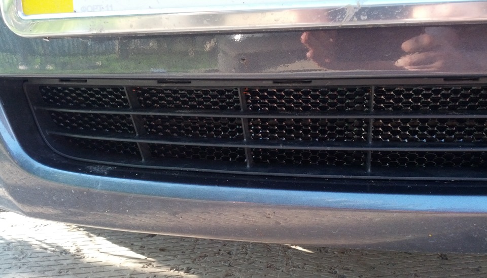 Сітка в нижню решітку (захист радіатора) 1
