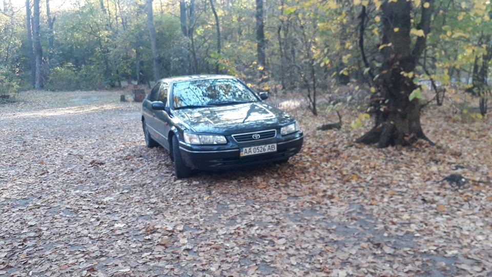 Ренички 3