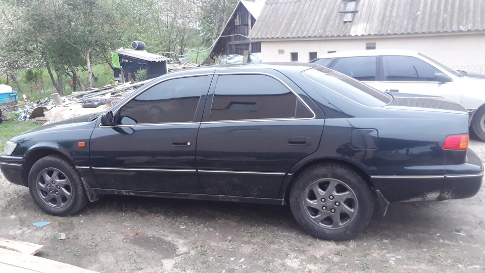 Тонування! 1
