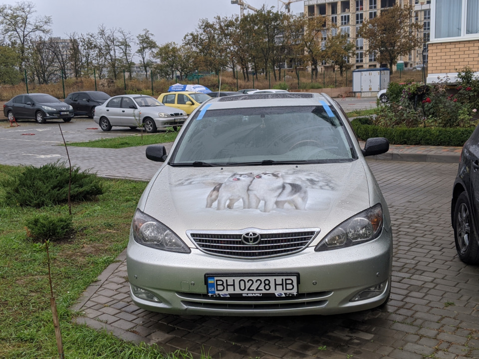 232100 км Прокинувся, дощ і ожинув 1