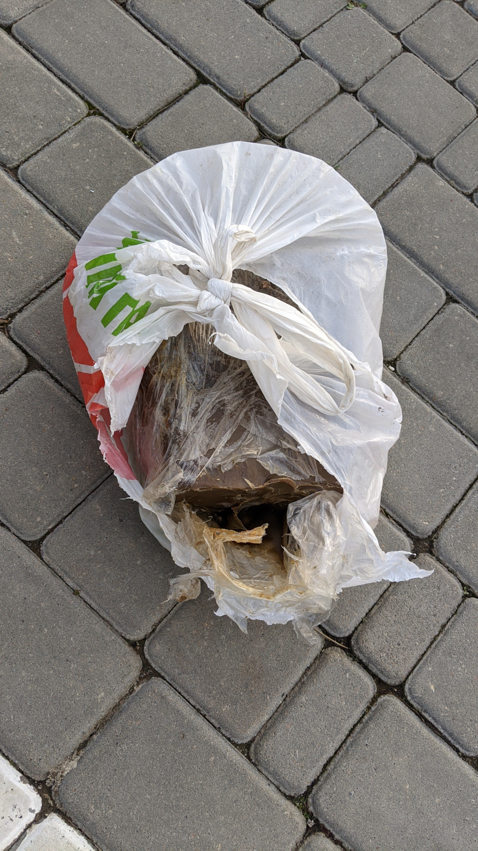 Продовження антикора ч.3. Багажний відсік, ляда та двері. 244500 км 3