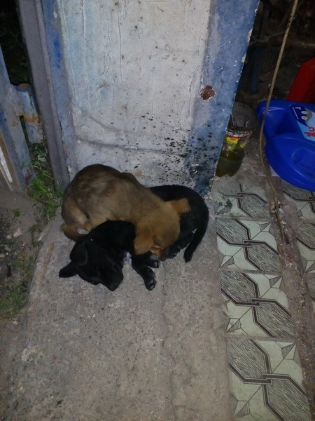 Поки я працюю 4