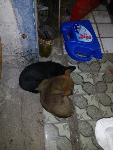 Поки я працюю 3