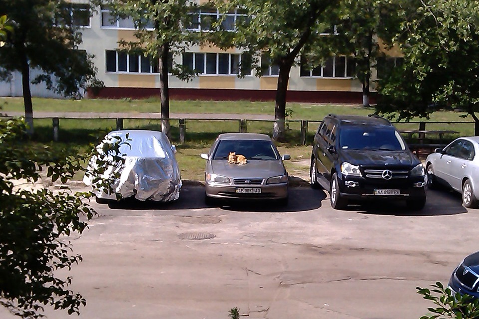 Про тварин 1