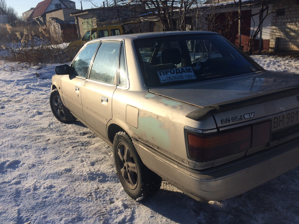 Продамся в добрі руки!) 3