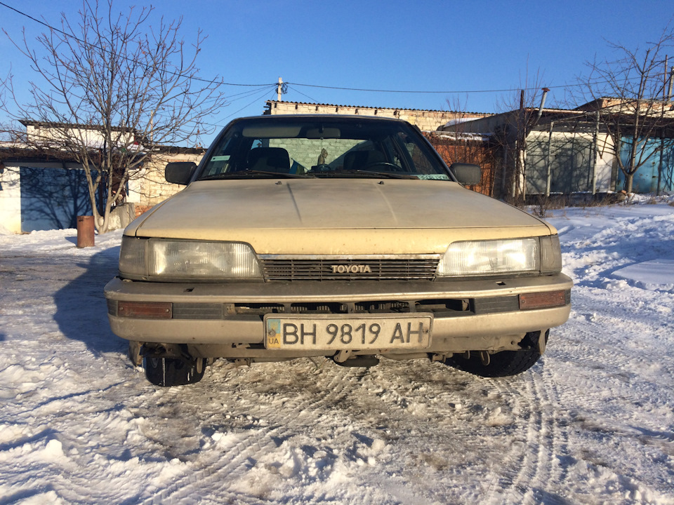Продамся в добрі руки!) 4